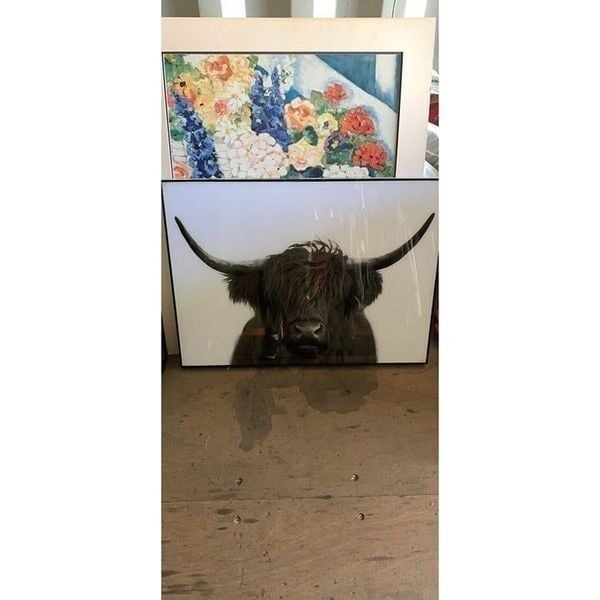 Buffalo black white photo artwork art canvas 30.5 x 22.5 in