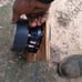 8 inch sub