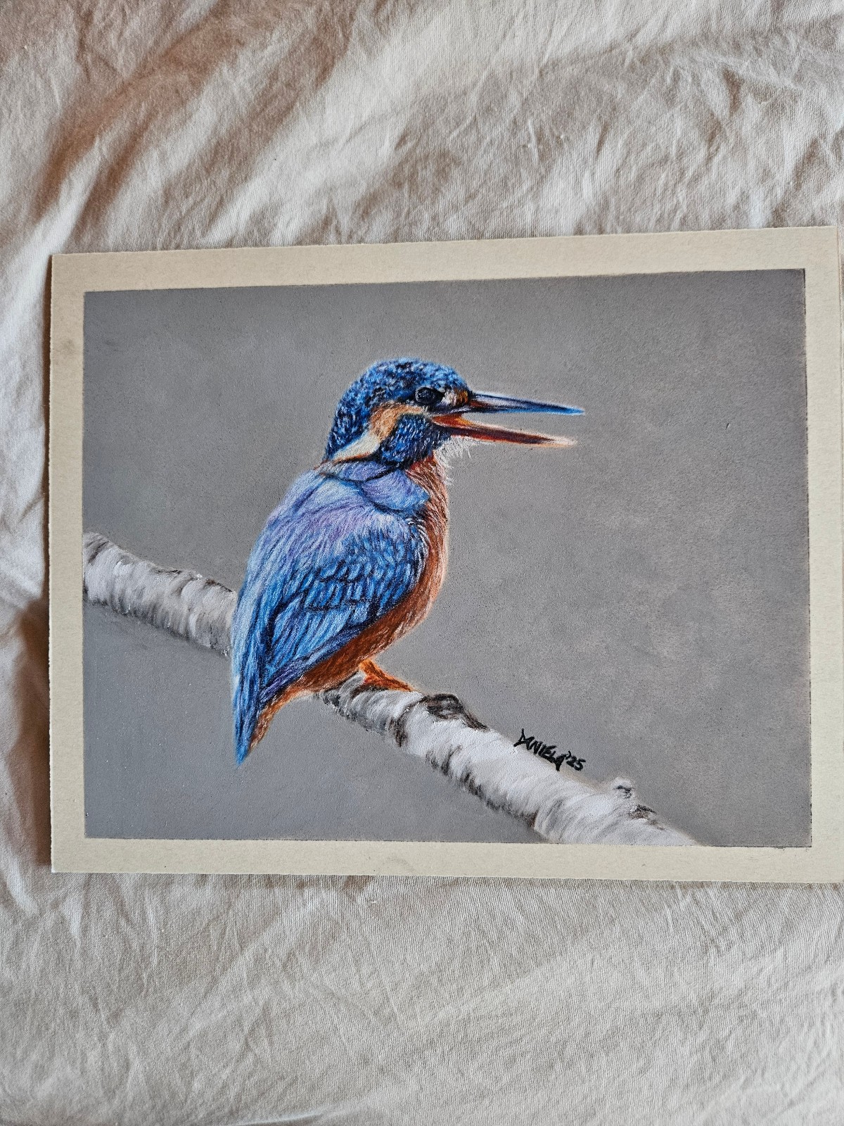 8x10 inch kingfisher bird in pan pastel