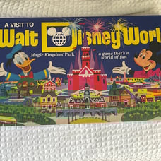 A visit to Walt Disney world game board