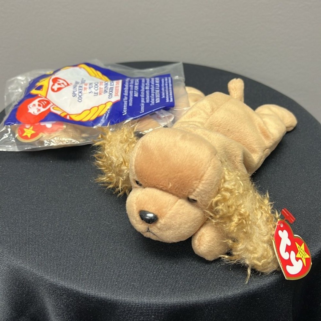 TY Beanie Baby - SPUNKY the Dog (8 inch) Includes Teenie Beanie