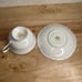 VTG Paragon Double Warrant TeaCup/Saucer Mint green/Dogwood Gold Trim England