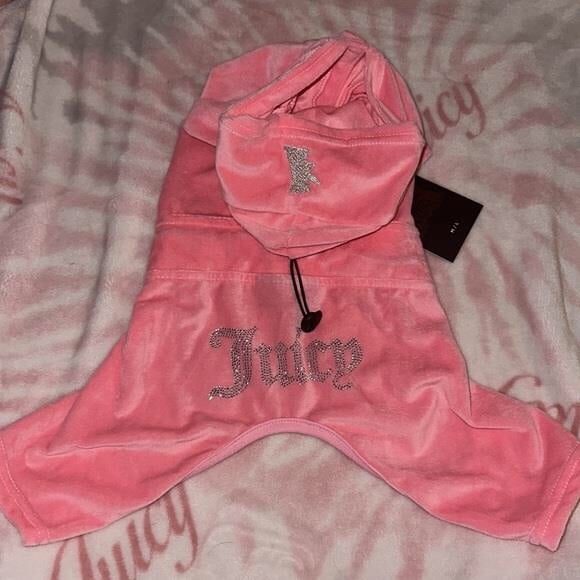 pet sportswear