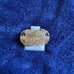 Last supper earrings