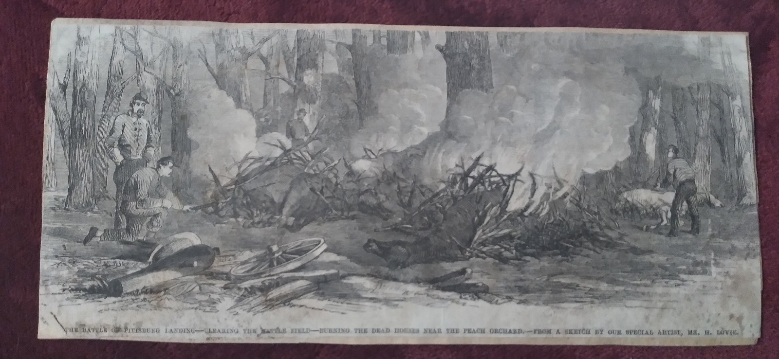BATTLE OF PITTSBURG LANDING 1862 BURNING THE DEAD HORSES SHILOH CIVIL WAR