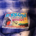 Dixxon Flannel Co mens 4X Wipeout used
