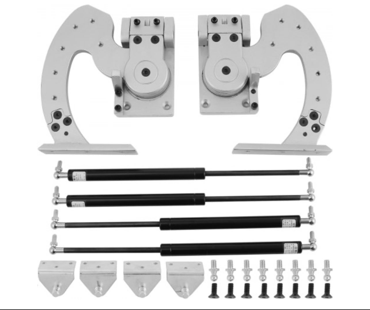 Universal Lambo Hinges NEW