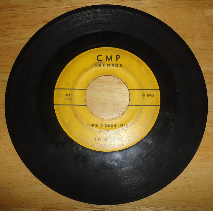 The Nite Cats Jungle / Skip School Flu (1962) 45 Vinyl Record Garage Teen Beat