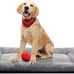 Dog Beds Crate Pad for Medium/Large Dogs 36inch