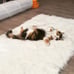 Soft 2 x 3 Feet Sheepskin Fur Rug