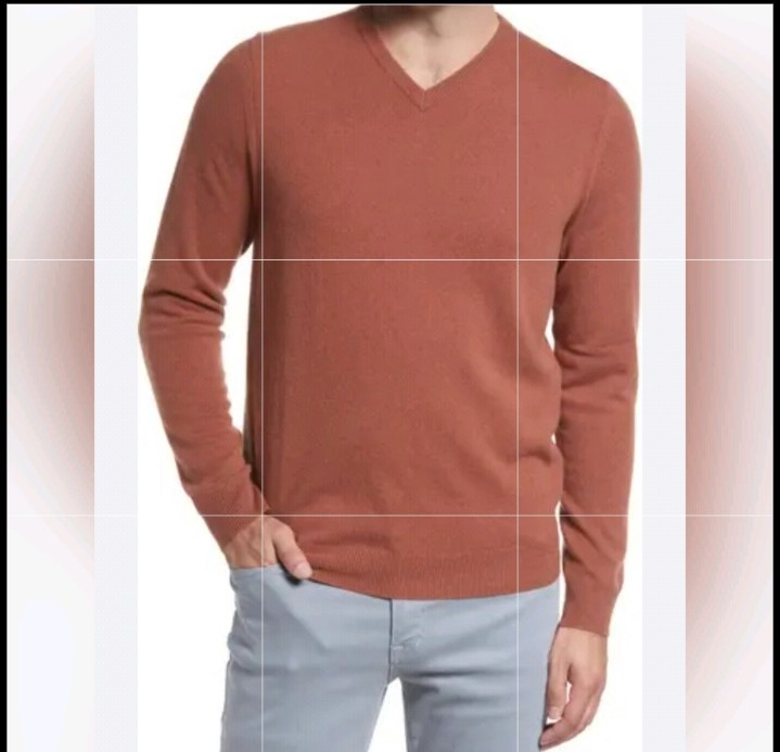 SweaterW.H.Belk cashmere men sweater