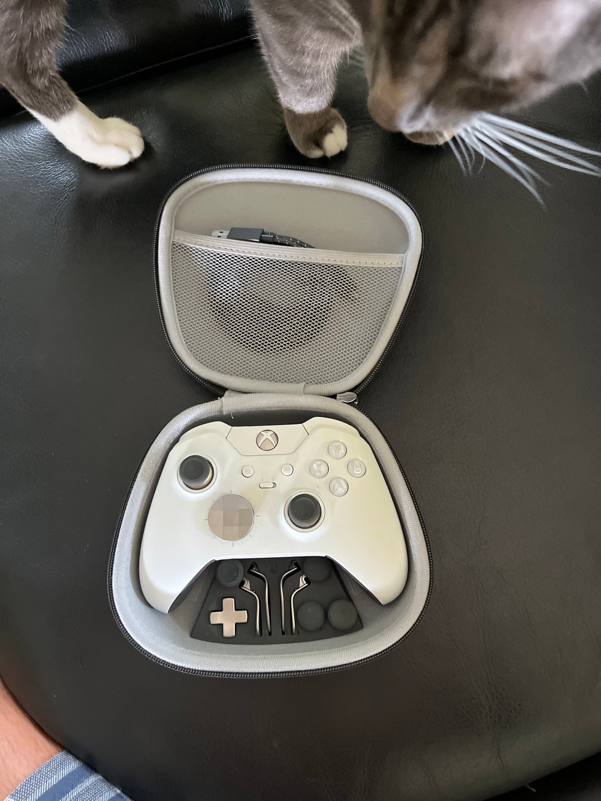 xboxone series x controller