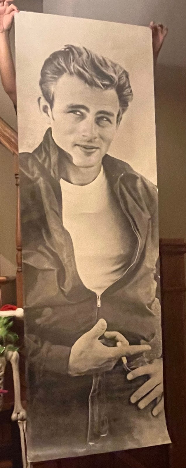 Door size James Dean poster