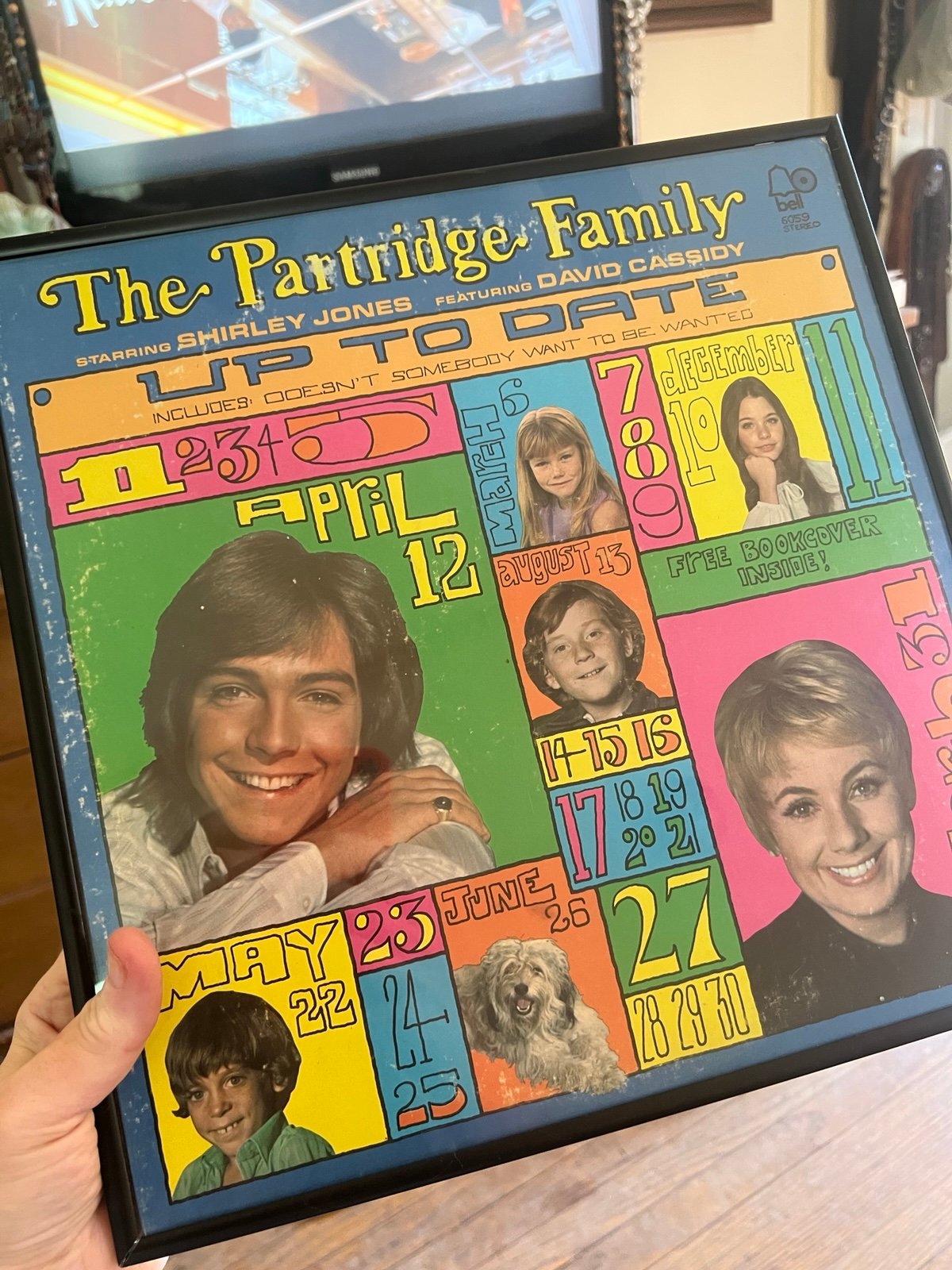 Framed under lucite Partridge Family Vinyl Album Wall Art