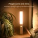 magnetic portalable led light
