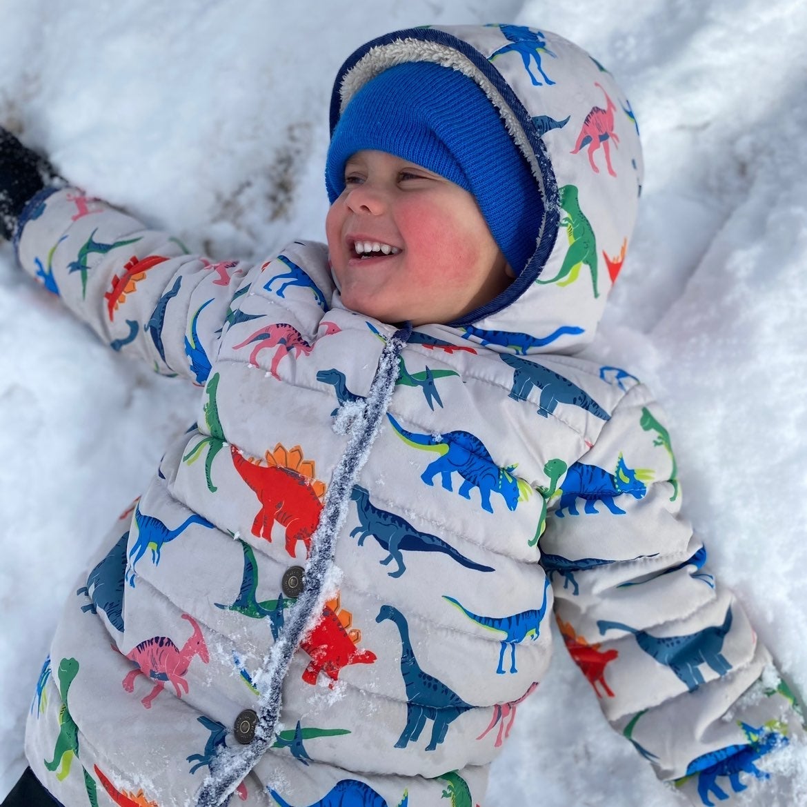 Size 3/4 Mini Boden Colorful Lined Dinosaur Coat, Dino, Padded, Winter, EUC