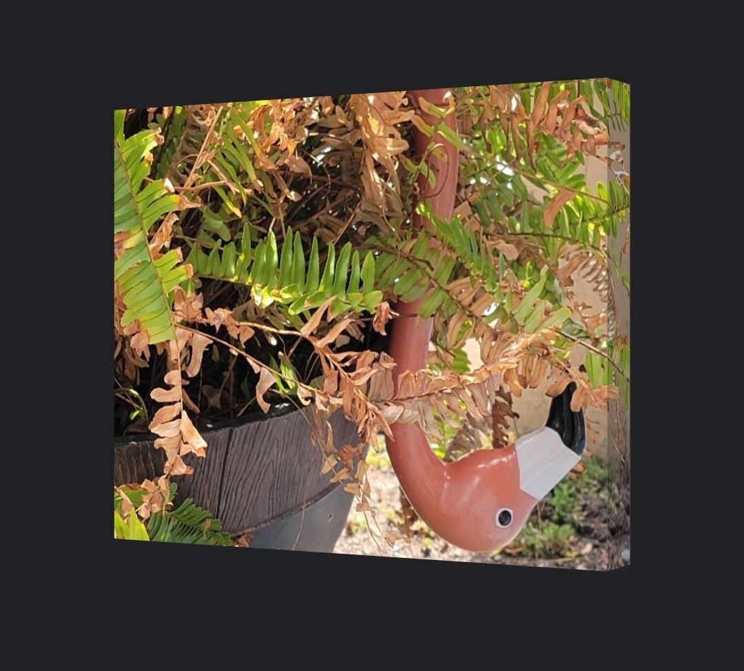 11x14 Google Canvas Photo New