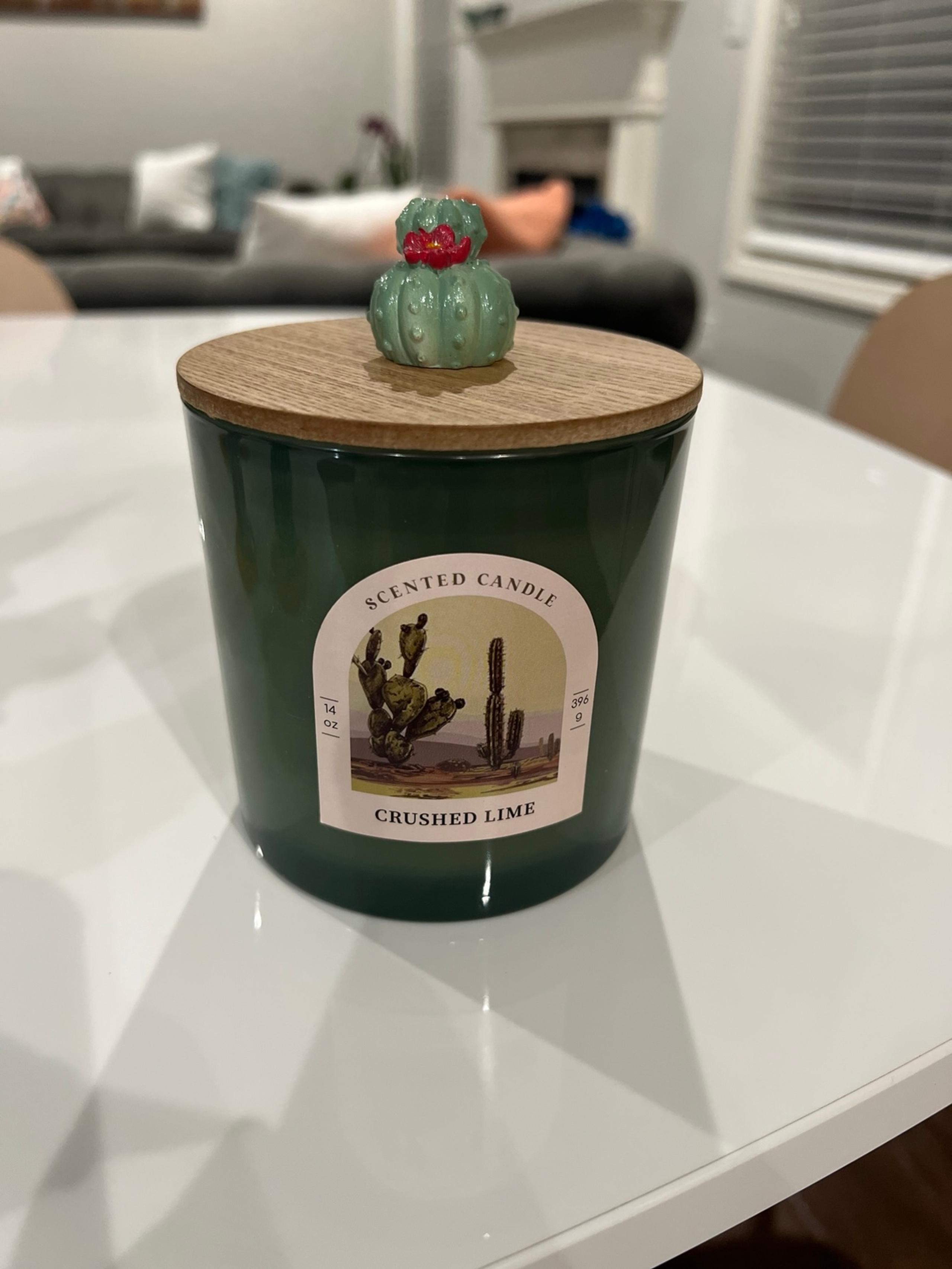 Crushed Lime 2-Wick Candle, 14 Oz.