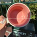 Disney x Starbucks Disneyland Discovery Series Mug
