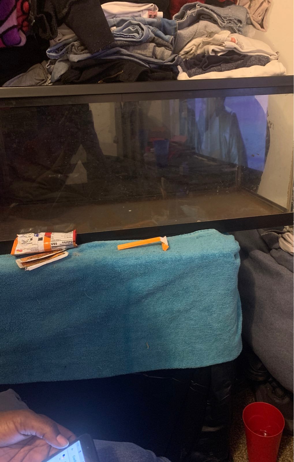 Fish tank