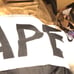A Bathing Ape Scarf