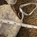 Sherri Hill women’s wedding dress size 2 white cream