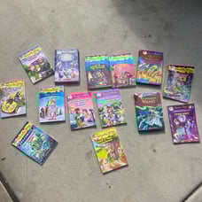 lot of 14 geronimo stilton books