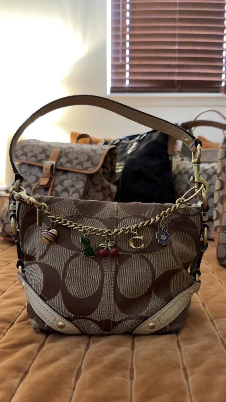 Vintage Coach purse