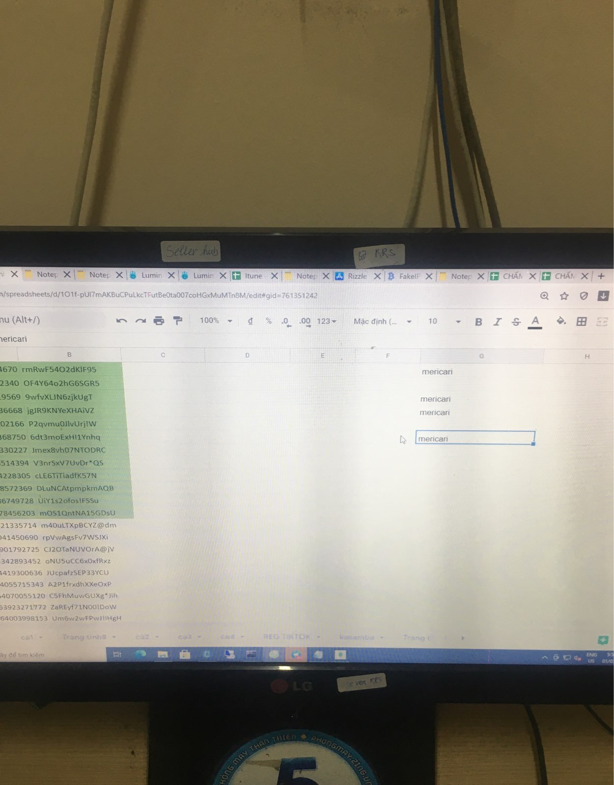 computer monitor