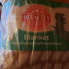 Scentsy Buddy blanket green