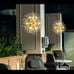 Crystal Chandelier