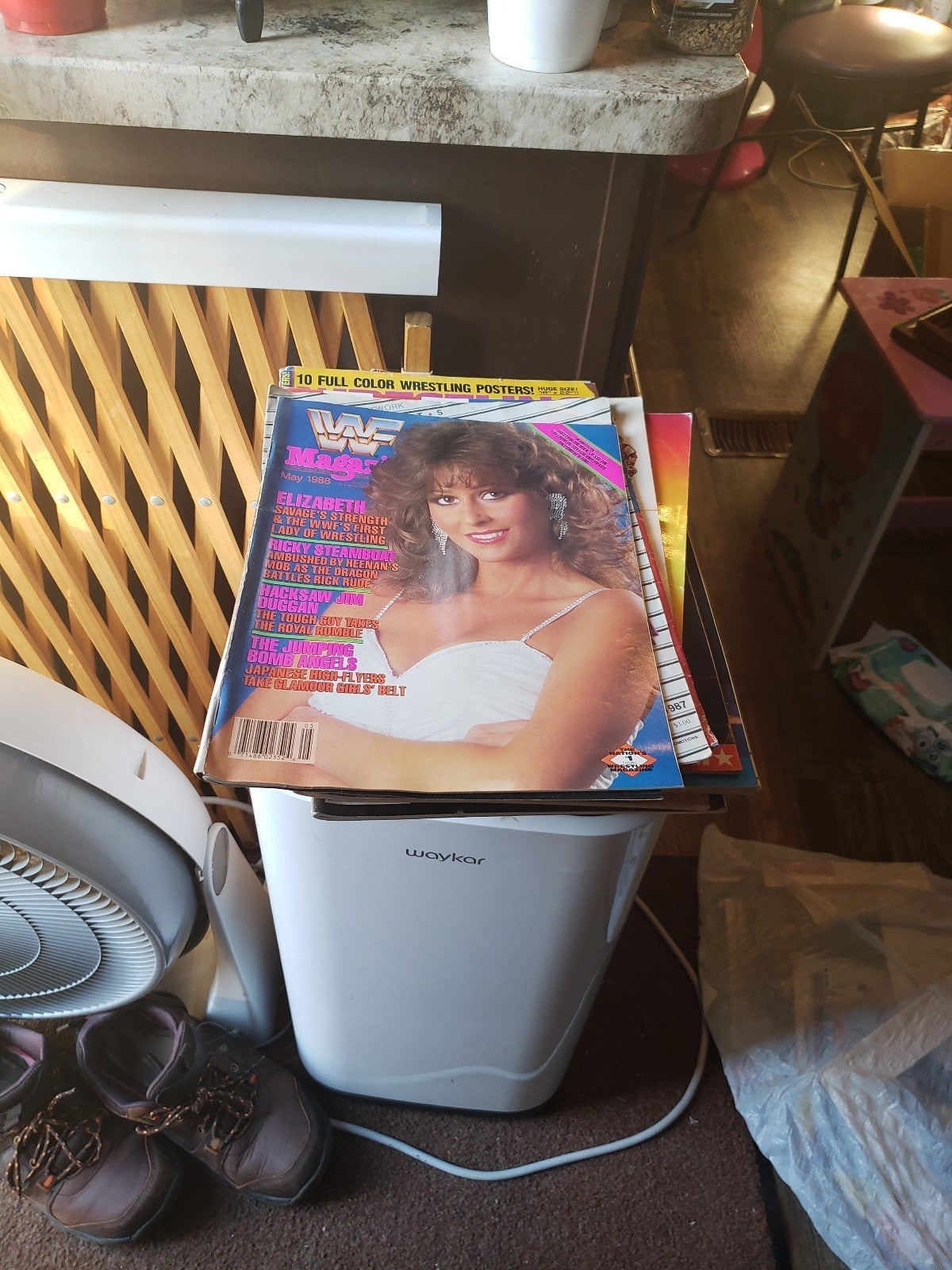 Wwf Magazines