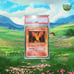 PSA 9 JPN Moltres Fossil Holo