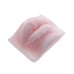 NEW. Silicone EYES & LIPS for Makeup & Eyelash Practice & Display