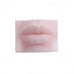 NEW. Silicone EYES & LIPS for Makeup & Eyelash Practice & Display