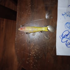 Vintage heddon dowagiac spook