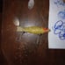 Vintage heddon dowagiac spook
