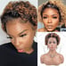 Ombre 13x1 Pixie Cut Lace Front Wigs Human Hair For Black Women Short Curl