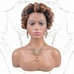 Ombre 13x1 Pixie Cut Lace Front Wigs Human Hair For Black Women Short Curl