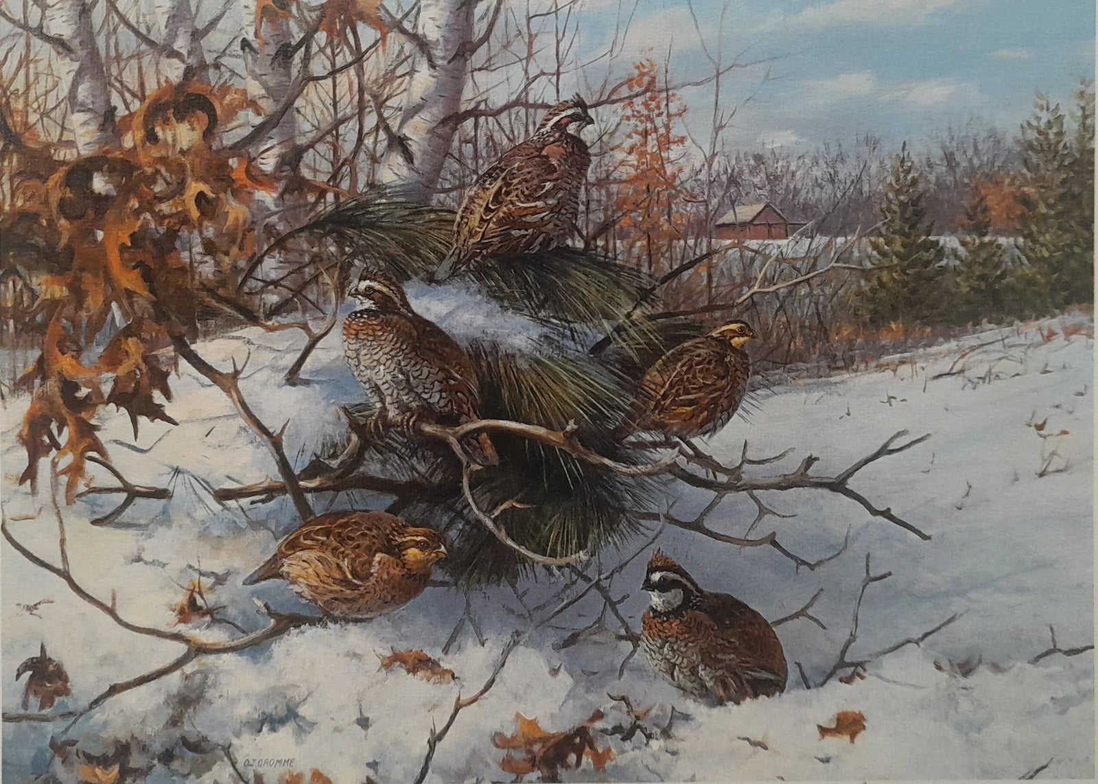 Bobwhite - Winter Day by Owen J. Gromme 1983 Research Stamp Print Artist Signed