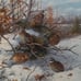 Bobwhite - Winter Day by Owen J. Gromme 1983 Research Stamp Print Artist Signed