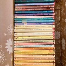 The Babysitters Club original Apple Paperback books lot of 30