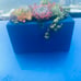 3x6 succulent planter