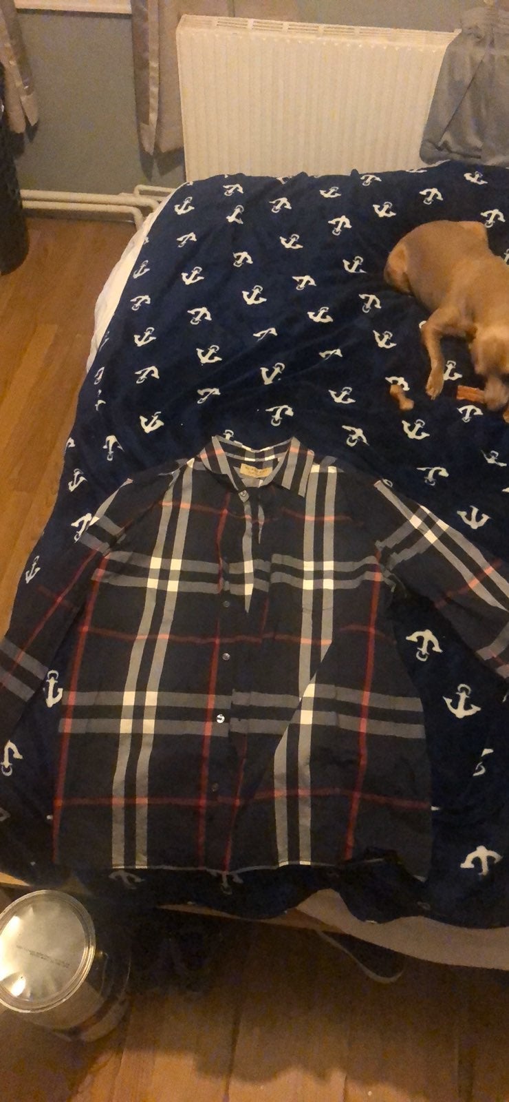 burberry button up