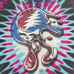 Vintage 1994 GRATEFUL DEAD Buzz Parker Melt Your Face T-Shirt XL Pink Blue Black
