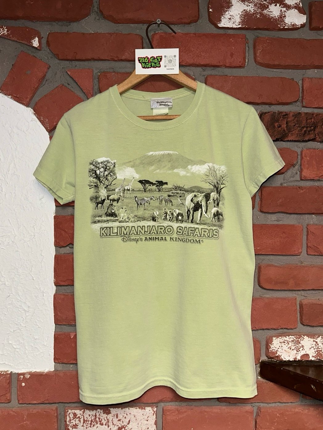 Vintage Disney Animal Kingdom Kilimanjaro Safari Green Graphic T-Shirt Tee Small