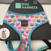 Bundle FuzzYard heart Dog Harness and Lead