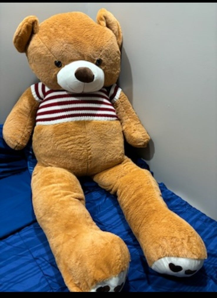 Big teddy bear