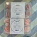 Apres Neutrals Gel-X Nail Extension Kit