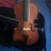 Viola 15 1/2 inch